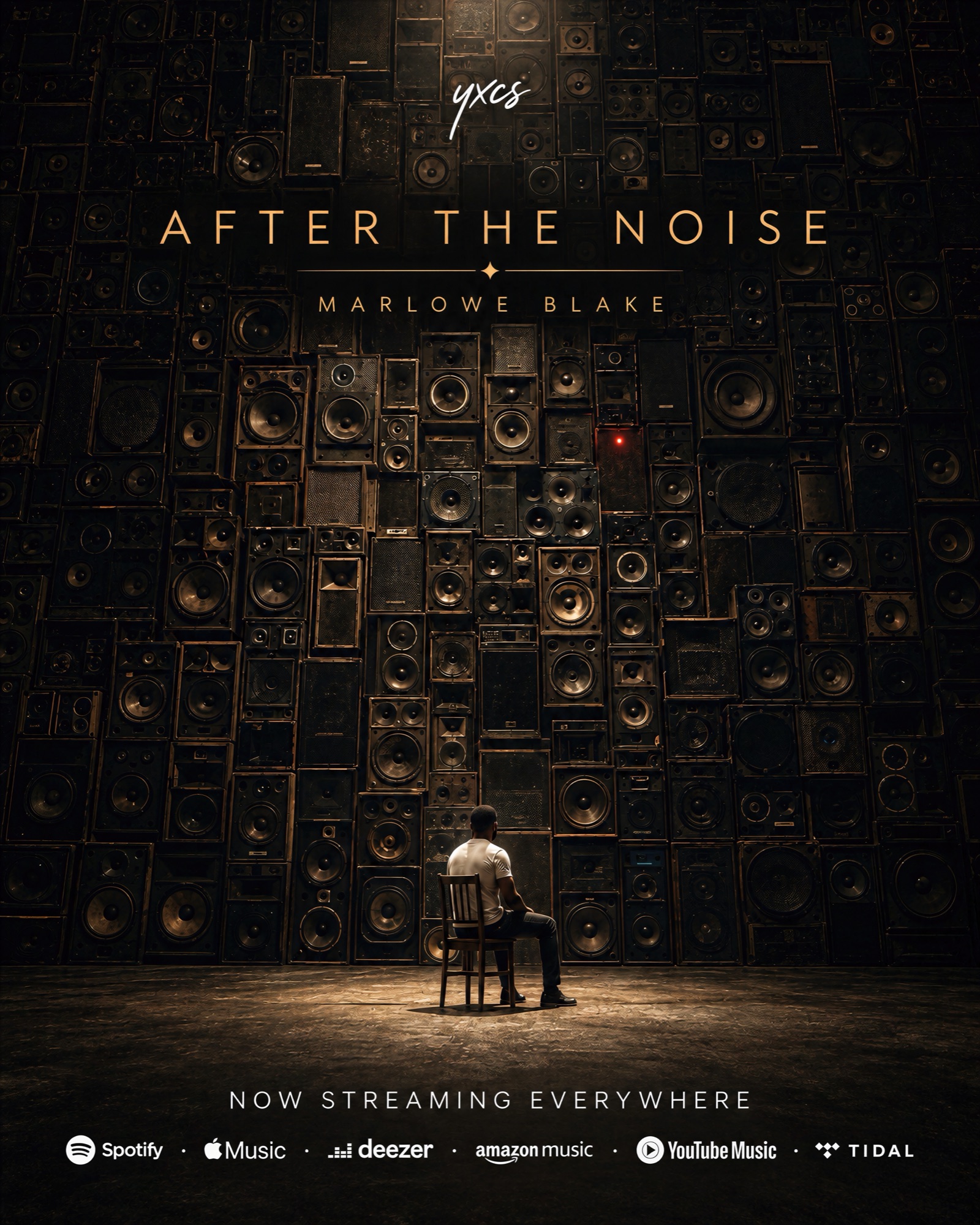 After the Noise